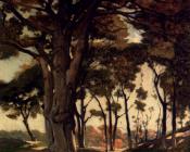 Woo - 亨利·约瑟夫·哈尔皮涅斯